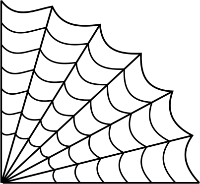 Portfolio 30 Spider web